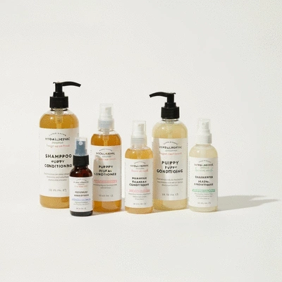 Assortment of hypoallergenic, fragrance-free, and natural ingredient puppy grooming products (shampoo, conditioner, spray) on a clean background, no text, no words, no typography, clean image