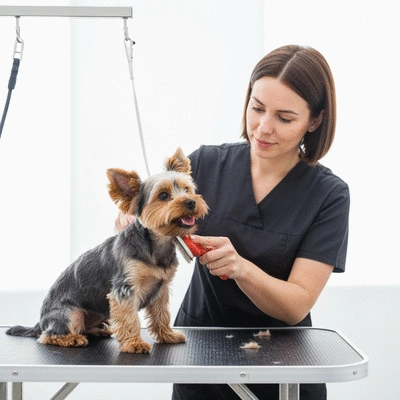 Groomer gently brushing a small, happy puppy on a grooming table, bright clean background, professional setup