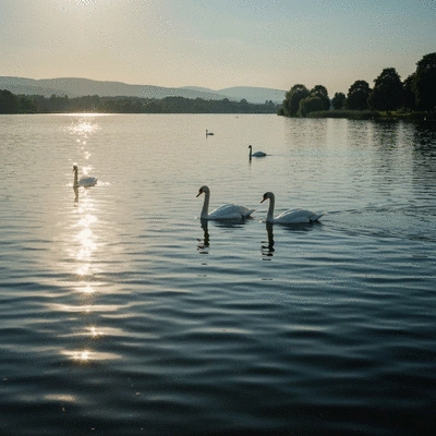 Happy puppy enjoying a gentle grooming session outdoors